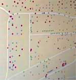 gis image